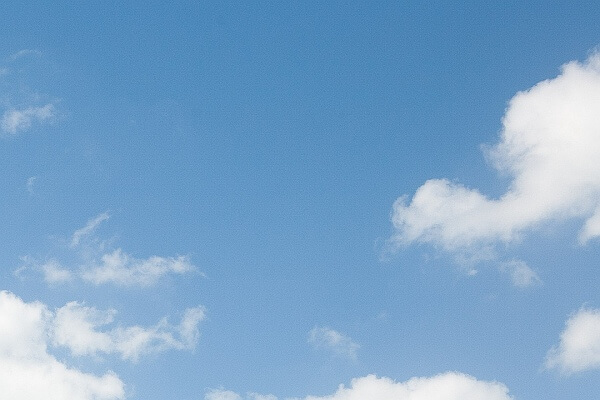 Transaero Airlines Transaero Privilege<br/>100 Points | Ambassador Redeem Points