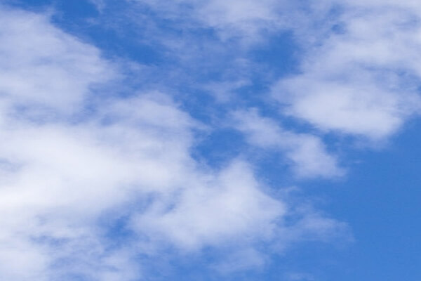 Asiana Airlines Asiana Club<br/>500 Miles | Ambassador Redeem Points